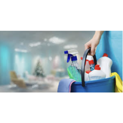 House Cleaner Fund
