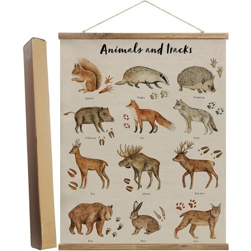 AnairsMo Woodland Animals and Tracks Canvas Wall Art Hanging Poster, Vintage Animal Wall Art, Educational Wall Art Painting For Nursery Decor Classroom Baby Room Bedroom 16 X 24 Inch