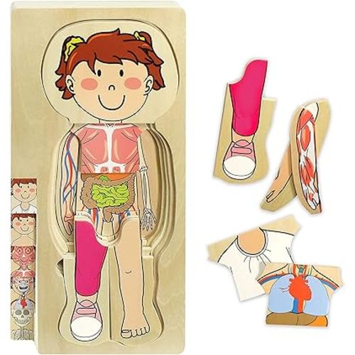 Kidzlane Girl Wooden My Body Puzzle for Toddlers & Kids - 29 Piece Girls Anatomy Puzzle Kid Play Set - Anatomy for Kids, Skeleton Toys for Kids Ages 3 Plus