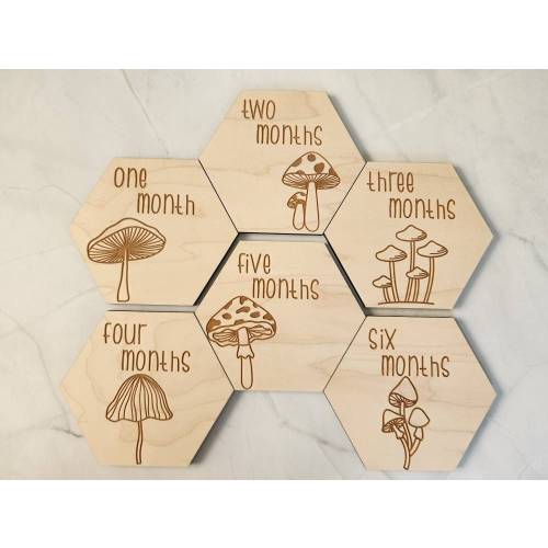 Baby Monthly Milestone Markers, Mushroom Milestone Disc, Baby Photo Props, Woodland Nursery Decor, Baby's First Year, 1-12 Month Hexagon