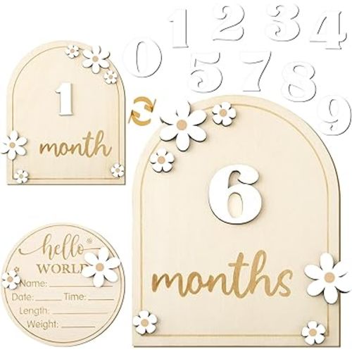 Baby Monthly Milestone Cards with Hello World Newborn Sign, Daisy Baby Milestone Signs Baby Monthly Milestone Wood Discs Baby Announcement Sign for Baby Growth Photo Props