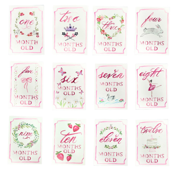 Monthly Milestone Card Set - Pink | Danrie