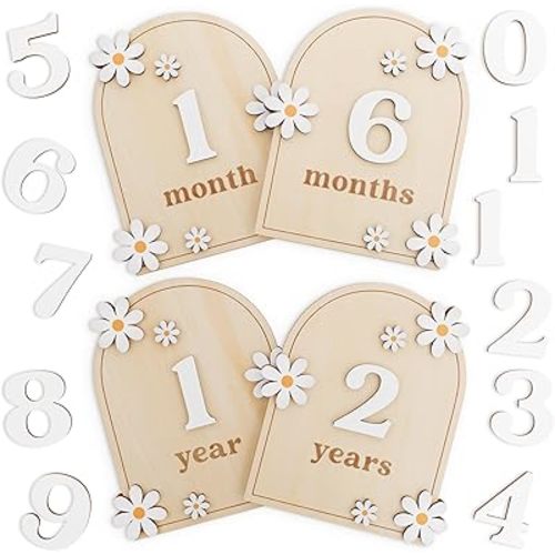 Beautiful Baby Monthly Milestone Cards - The Perfect Wooden Discs for Adorable Milestone Pictures of Your Newborn - 2X Reversible Arches Signs with Interchangeable Numbers Make a Great Shower Gift
