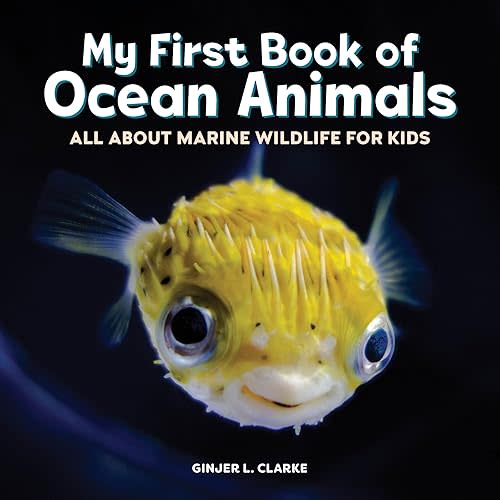 My First Book of Ocean Animals: All About Marine Wildlife for Kids Paperback – October 12, 2021