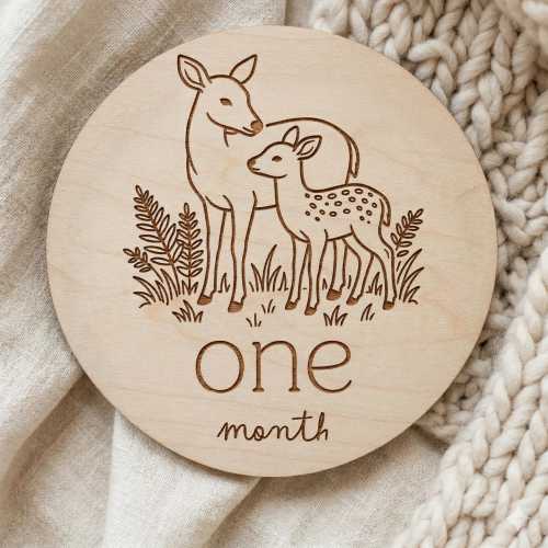 Woodland Animal Baby Milestone Discs – Monthly Photo Props