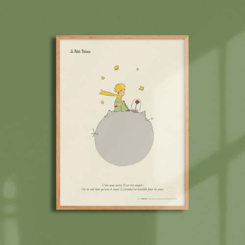Affiche Le petit prince - Secret, planète