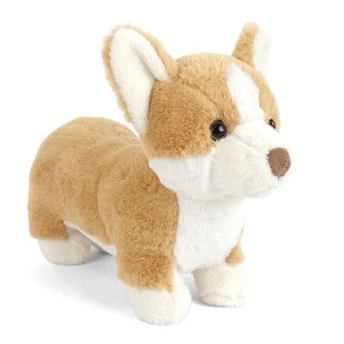 Honey the Corgi