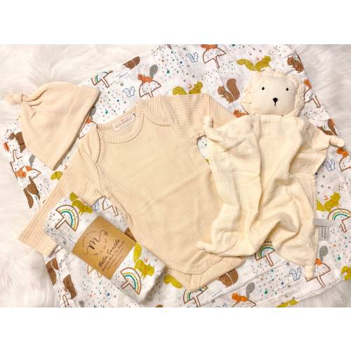 Squirrel Baby Shower Gift Set for Boy, Gift Set Box, Boy Newborn Gift Set, Baby Gift Set Neutral Organic Cotton Swaddle Blanket Hat Lovey