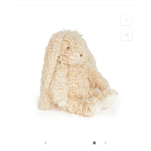Harey the Bunny Rabbit