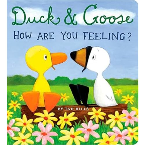Duck & Goose, How Are You Feeling?