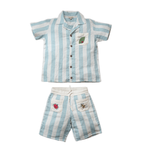 Ladybird set