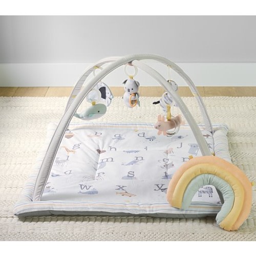 Skip Hop Abc Play Gym