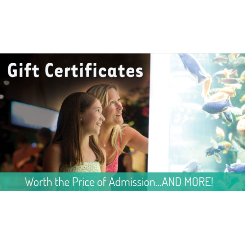 Gift Certificates | Mystic Aquarium