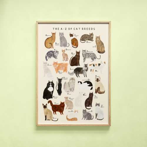 Cat Breeds Alphabet Print | A-Z Identification Poster Illustration Cats Kitty Breeds Pet Kitten Gift | Wall Art Home Decor Poster