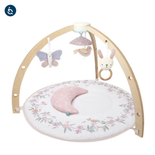 Baby Gym | Premium Baby Activity Gym | aden + anais