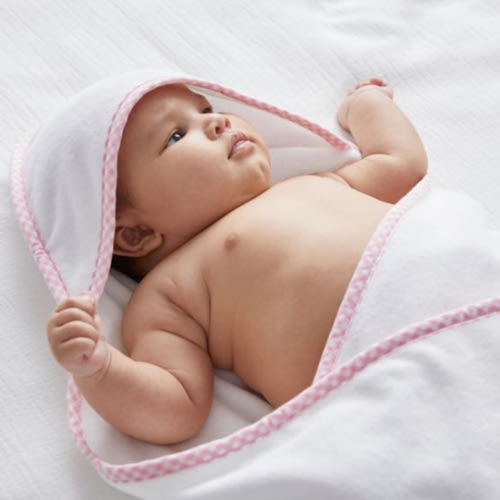 Gingham Baby Hooded Towels | Pottery Barn Kids