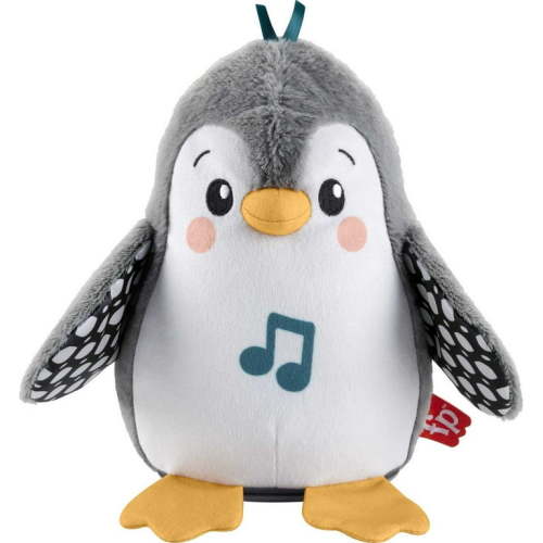Fisher-Price Baby Explore Infant Sensory Gym, Plush Tummy Time Toy, Flap & Wobble Penguin, Newborn Musical Toy