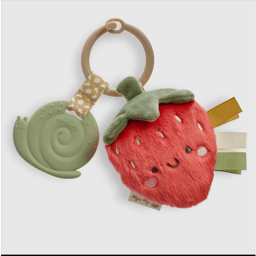 Itzy Pal™ Plush + Teether Strawberry