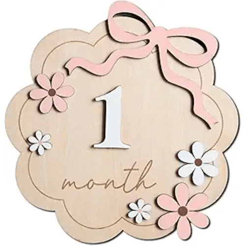Baby Monthly Milestone Sign,1-12 Monthly Baby Milestone, Month Milestone Baby Girl, Baby Months Milestone, Newborn Photography Props Double-Sided (B11)