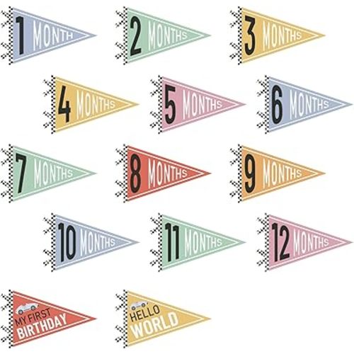 VitalCozy 14 Pcs Baby Milestone Pennant Signs Monthly Milestone Banner Flags Pennant Triangle Banner Age Flag Signs for Boy Girl Newborn Birthday Party Decor (Car)