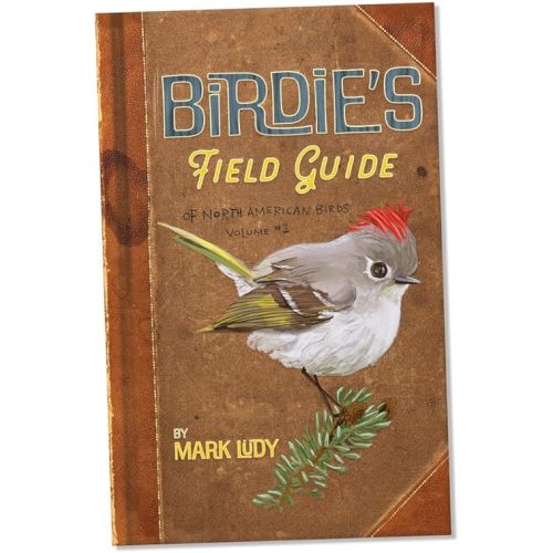 Birdie's Field Guide Hardcover – January 26, 2024