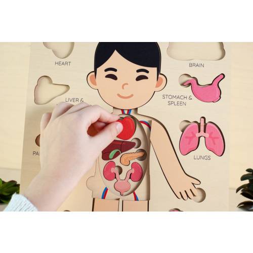 Montessori toys, human body puzzle, toddler toys wooden human puzzle kids anatomy puzzle human anatomy preschool anatomy gifts for kids toys