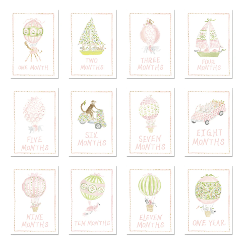 Baby Milestone Cards: Menagerie Pink Set