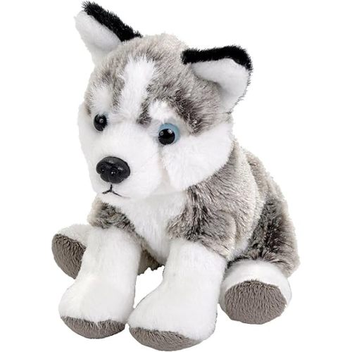 Wild Republic Pocketkins Husky Stuffed Animal - 5"