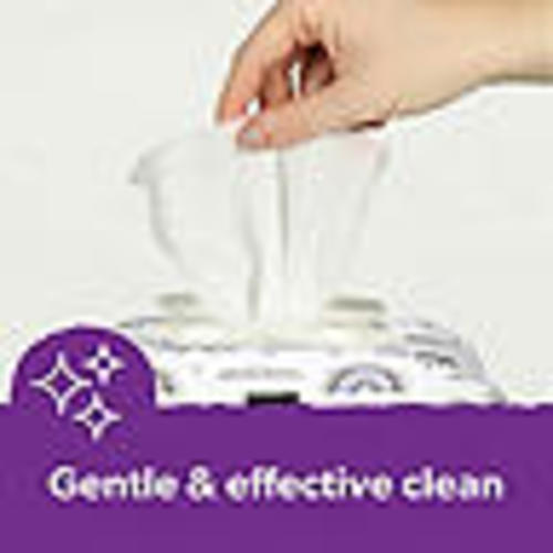 Member's Mark Premium Baby Wipes, Fragrance Free, 12 pk., 1152 Wipes - Sam's Club