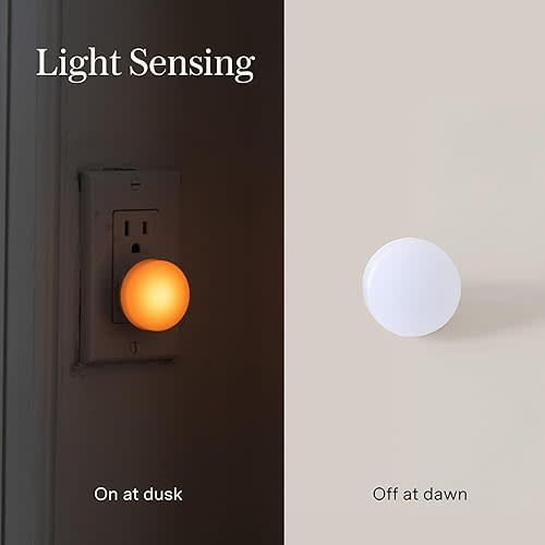 Night Lights (Pack of 3)