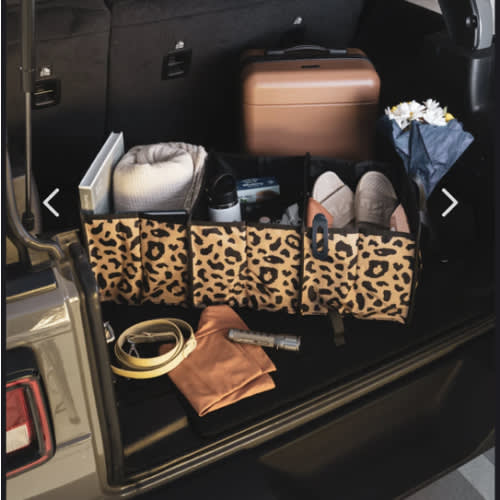 Car Organizer - MOSS