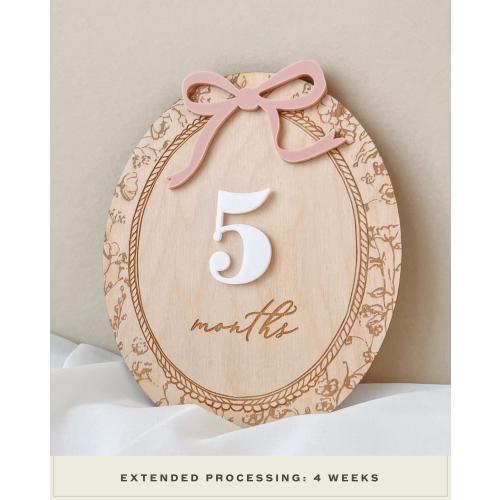 Baby Month Milestone Girl Baby Milestone Card Baby Girl Nursery Decor Personalized Baby Milestone Marker Gift Baby Girl Milestone Sign Bow