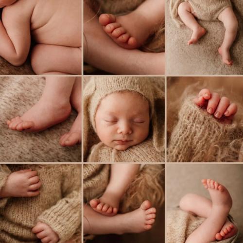 Newborn photos