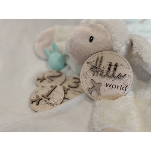 Baby Travel Monthly Milestone Rounds | Monthly Milestone Sign | Photo Props | Baby Shower Gift Ideas