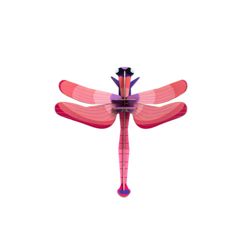 Ruby Dragonfly - Studio ROOF