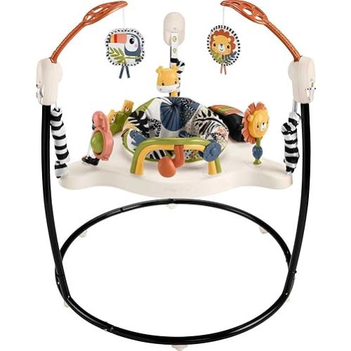 Fisher-Price Baby Bouncer Palm Paradise Jumperoo Activity Center with Music Lights Sounds and Developmental Toys