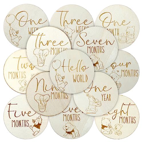 Winnie Baby Monthly Milestone Marker Discs Baby Announcement Sign Newborn Sign For Photo Prop Baby Shower Nursery Gift(16PCS)