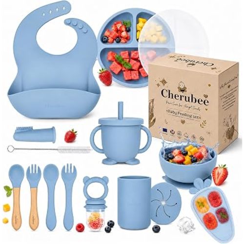 Baby Feeding Essentials Silicone Baby Feeding Set 15-Pcs | Suction Plate with Lid, Bowl, Adjustable Bib, Sippy Cup, Snack Cup, Spoon, Fork, Pacifier, Brush & Ice Tray | CE & CPC Certified