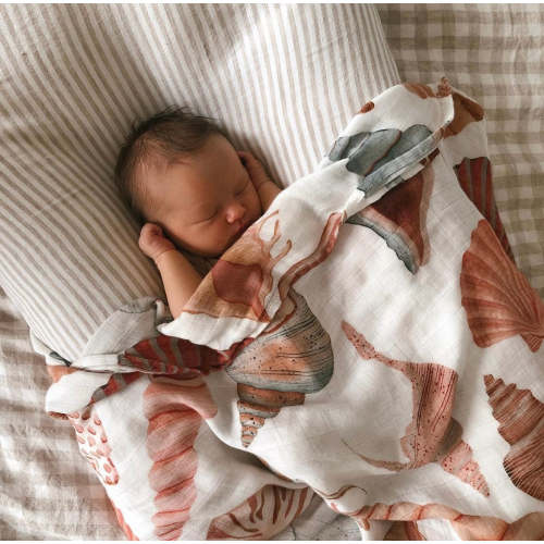 Shelly Wrap
