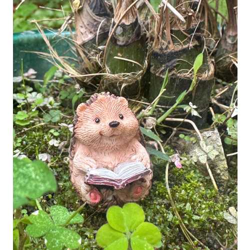 Miniature Reading Hedgehog – Resin Fairy Garden Decor, Book Lover Gift, Woodland Animal Figurine, Terrarium & Dollhouse Miniature
