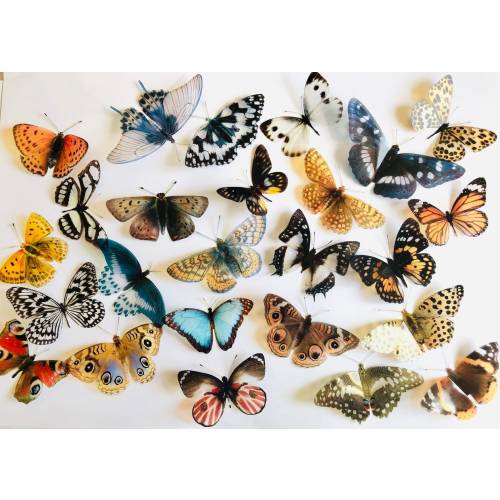 3D Decorative Butterflies x 25, 3D Butterfly Art, Wedding Embellishments, Craft Supplies, Craft Butterflies, Butterfly Wall Art Decals