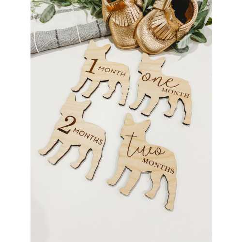 Nursery Frenchie Monthly Milestone Plaques for babies