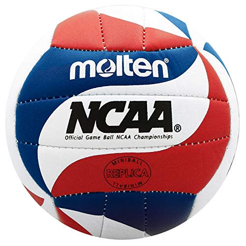 Molten Mini Volleyball