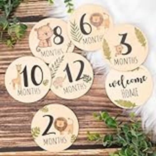 Amazon.com : 13 Pcs Wooden Baby Milestone Blocks Cards Wood Baby Month Signs for Girl Discs Boho Double Sided Print Marker Gift Photo Prop Discs Sets Birth Announcement for Baby Shower Newborn (Animal) : Baby