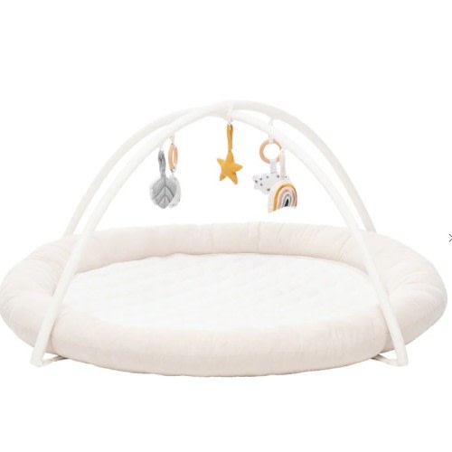 OLLIE – Babybee