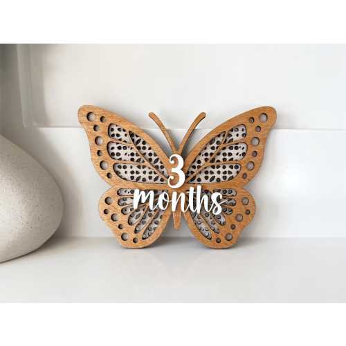 Rattan Butterfly Monthly Milestone Marker Boho Butterfly Milestone Disc Butterfly Boho Theme Photo Props Personalized Butterfly Name Sign