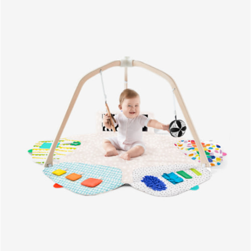 LOVEVERY | The Play Gym | Award Winning For Baby , Stage-Based Developmental Activity Gym & Play Mat for Baby to Toddler