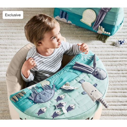 Aquatic Baby Activity Chair