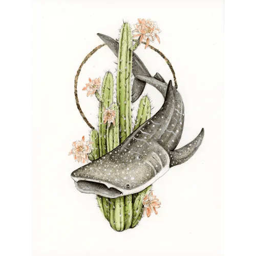 "Drawing of the Day 66"- Whale Shark + Hedgehog Cactus — Marissa Quinn