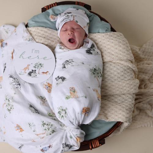 Dog Park Organic Muslin Wrap | Snuggle Hunny